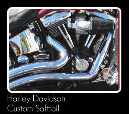 Harley Davidson Custom Softtail Engine